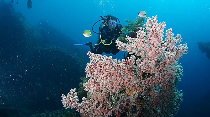 リバティーレック